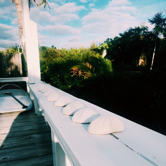 Haley Rose’s Closet 🌹 Welcome! - Picture 4 of 7